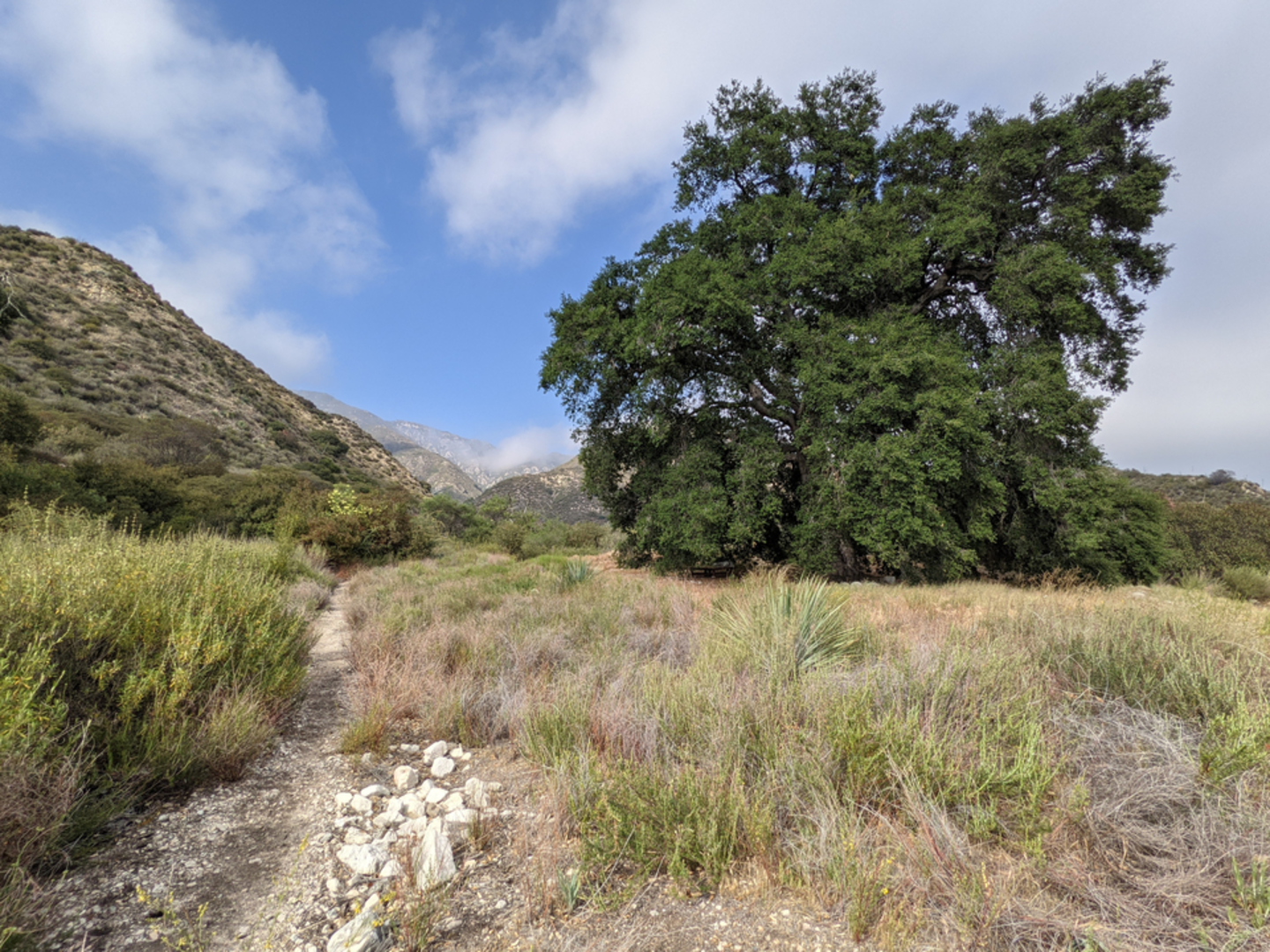 An image depicting the trail Haines Canyon to Mount Lukens Trail and its surrounding area.