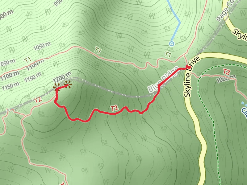 Hawksbill via Lower Hawksbill Trail