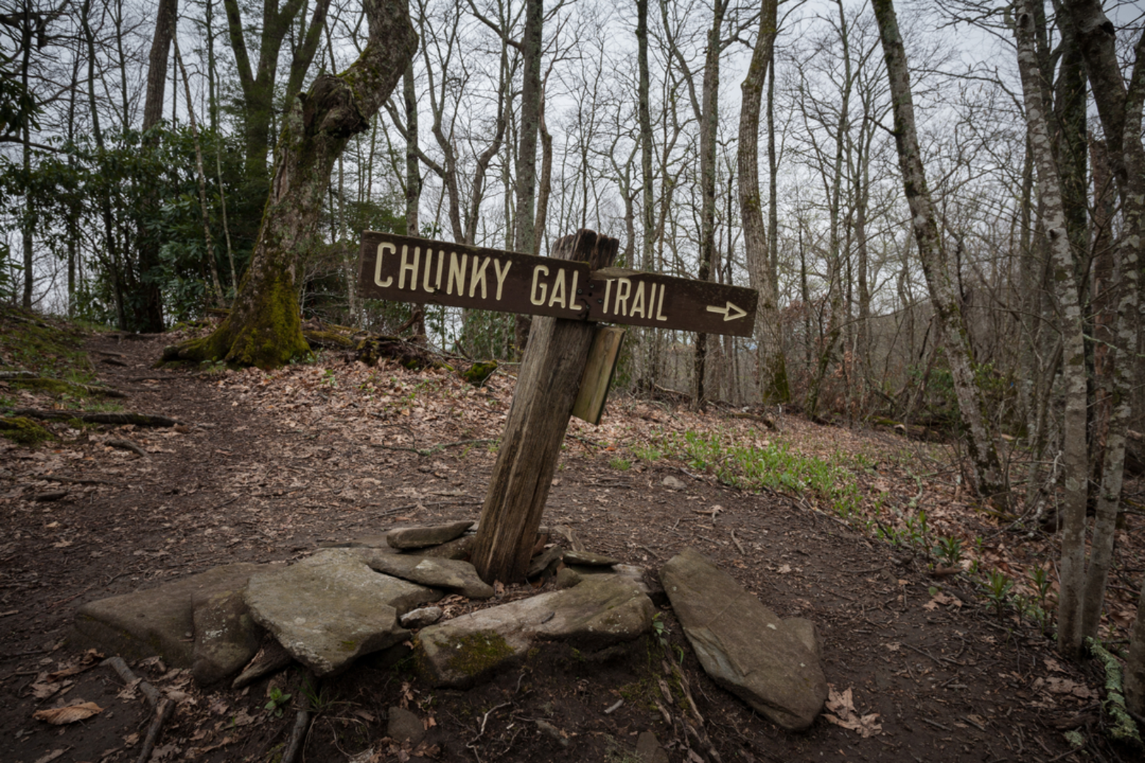 An image depicting the trail Chunky Gal Trail and its surrounding area.