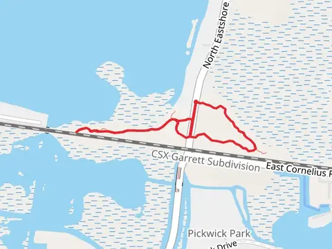 Buck Island