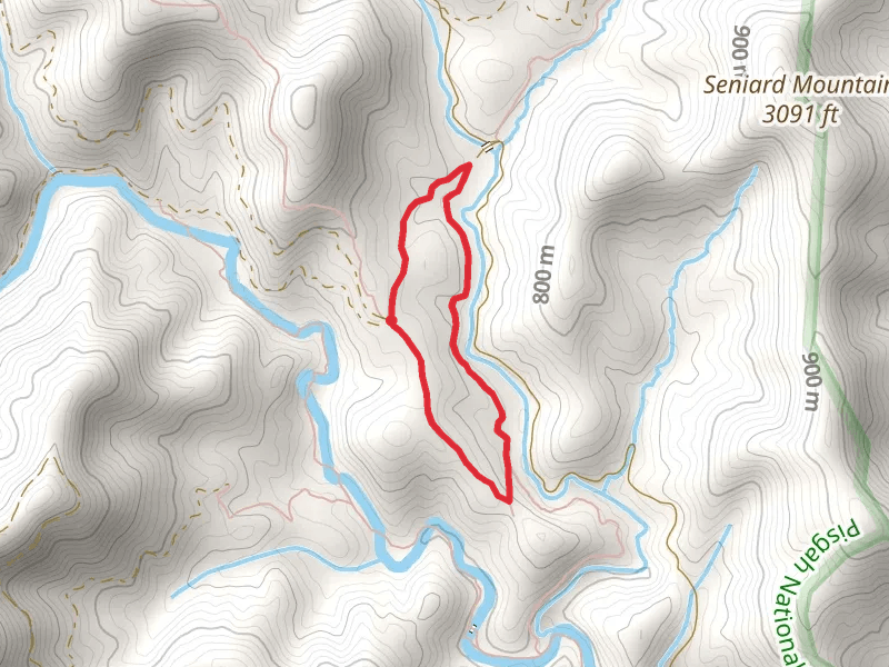 Trace Ridge and Wash Creek Loop