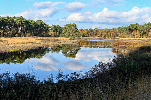 De Dennen Loop