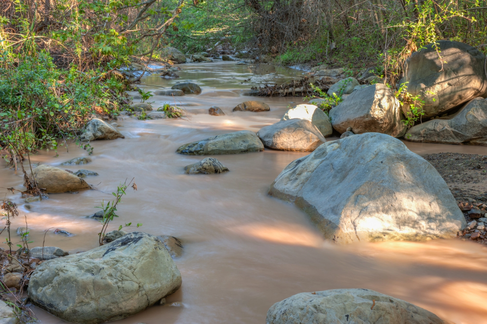 An image depicting the trail Last Chance Trail via East Fork Trail and its surrounding area.