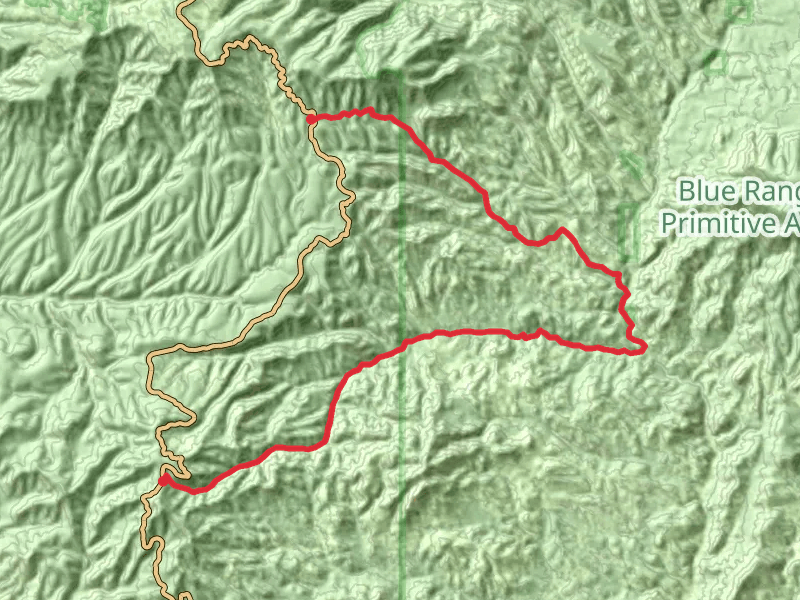 Strayhorse Trail and Raspberry Trail