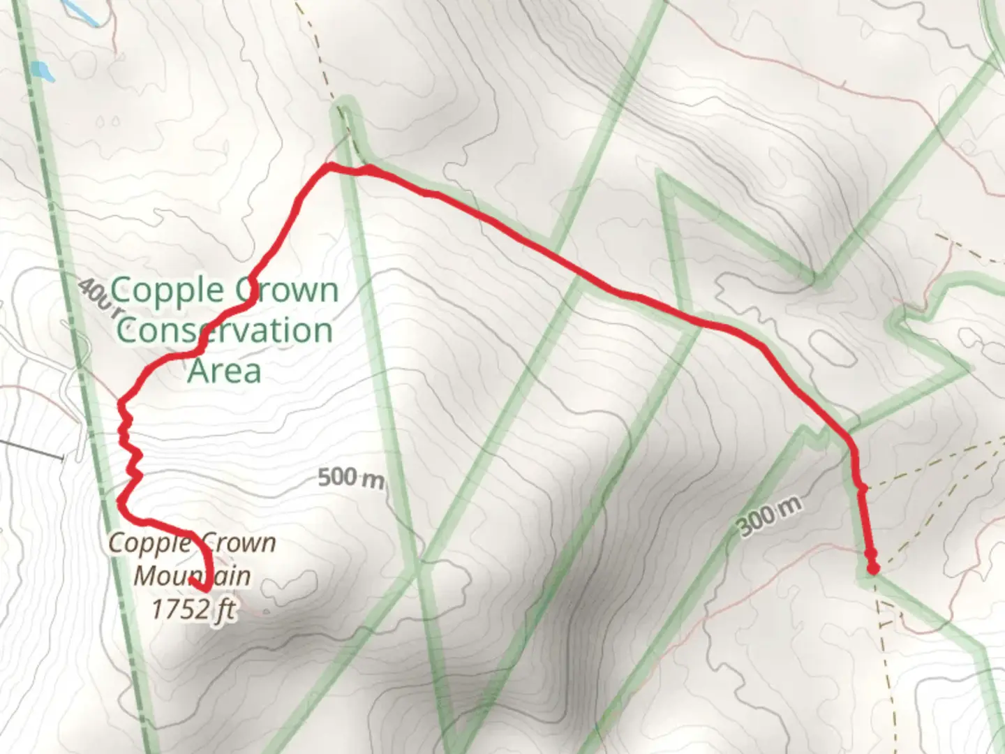 An image depicting the trail Copple Crown Mountain Trail and its surrounding area.