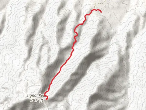 Icehouse Canyon Trail from SIgnal Peak