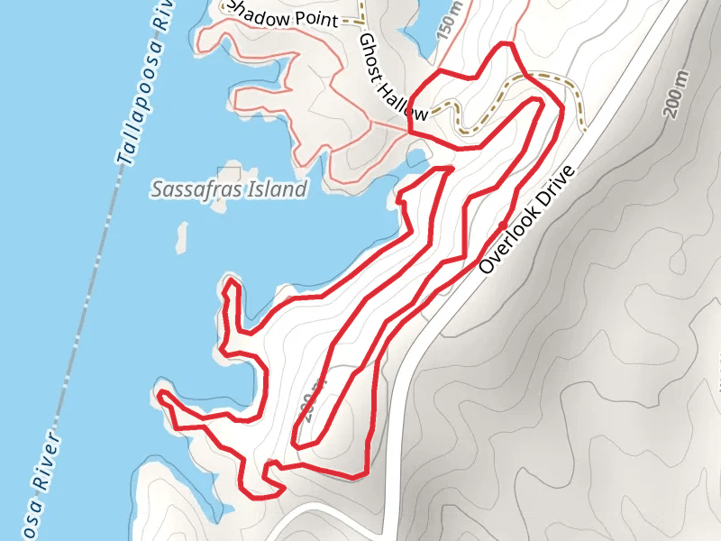 Loop Beside Martin Lake