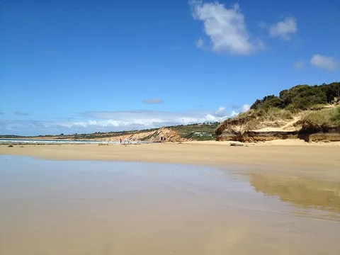Anglesea to Point Roadnight Walk