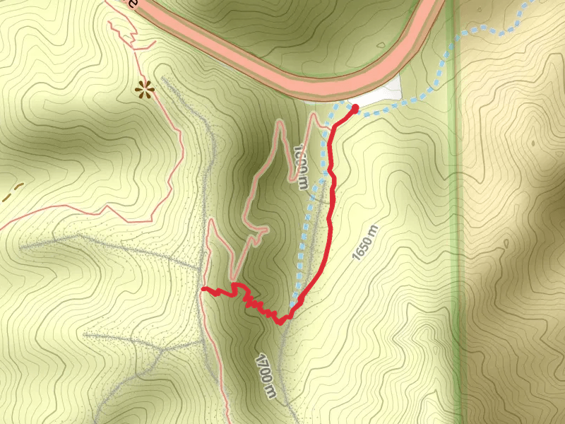 Ron Coleman Trail