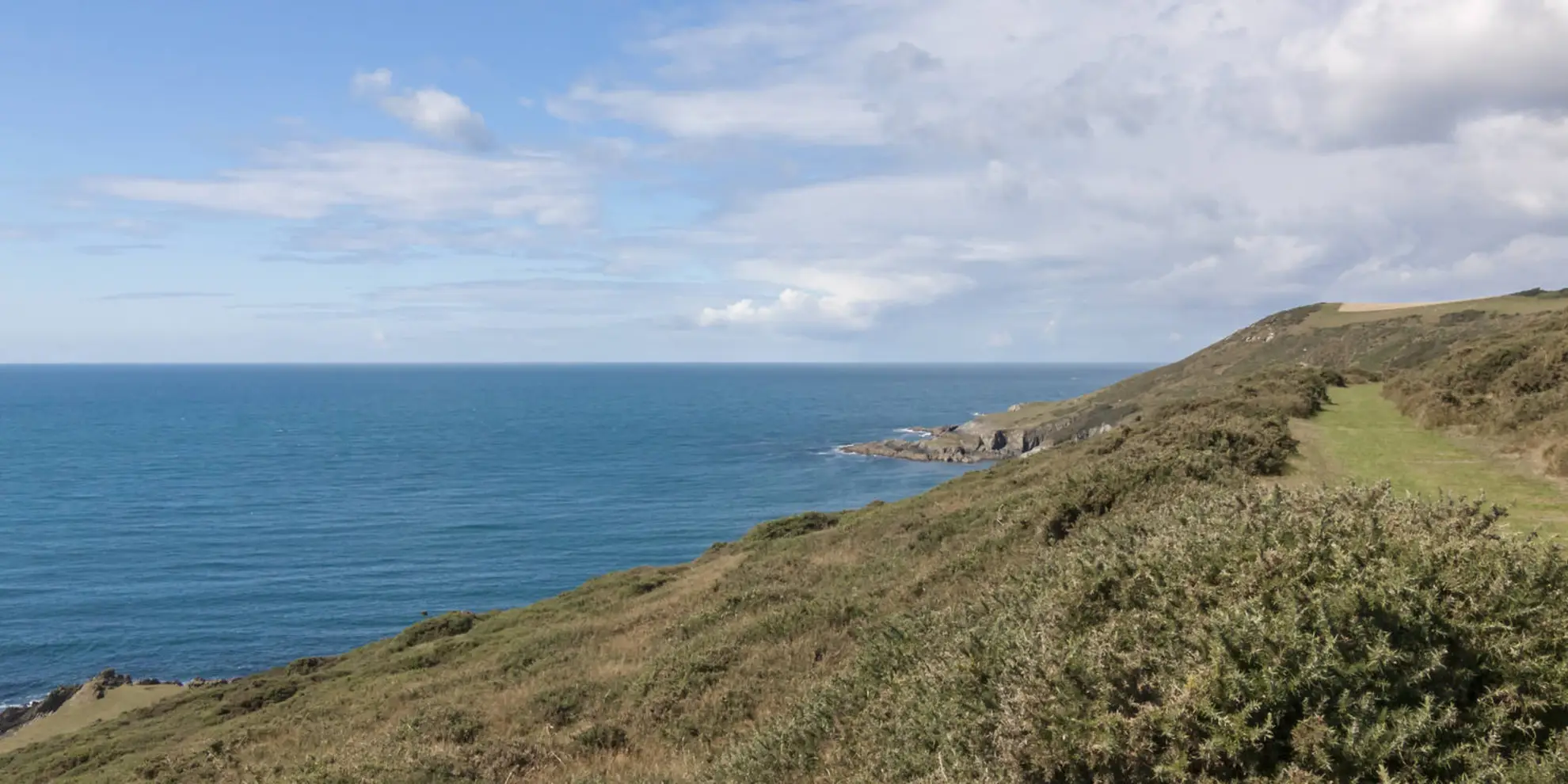 An image depicting the trail Noss Mayo and Revelstoke Drive Walk and its surrounding area.