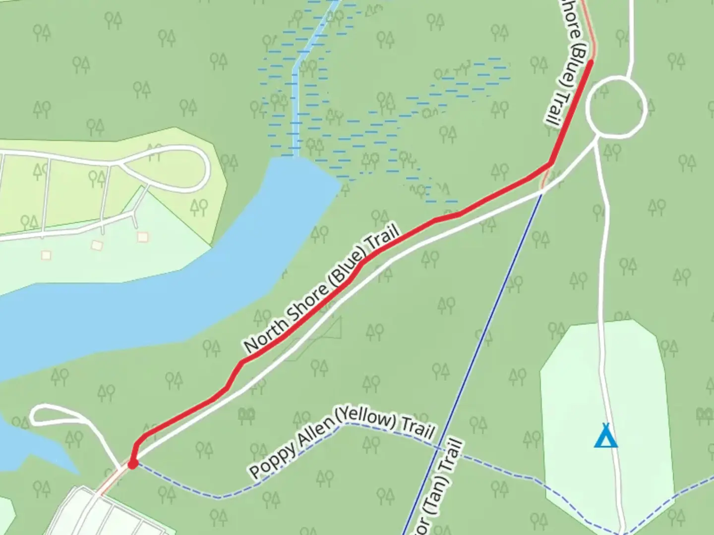 An image depicting the trail North Shore - Blue Trail Out and Back and its surrounding area.