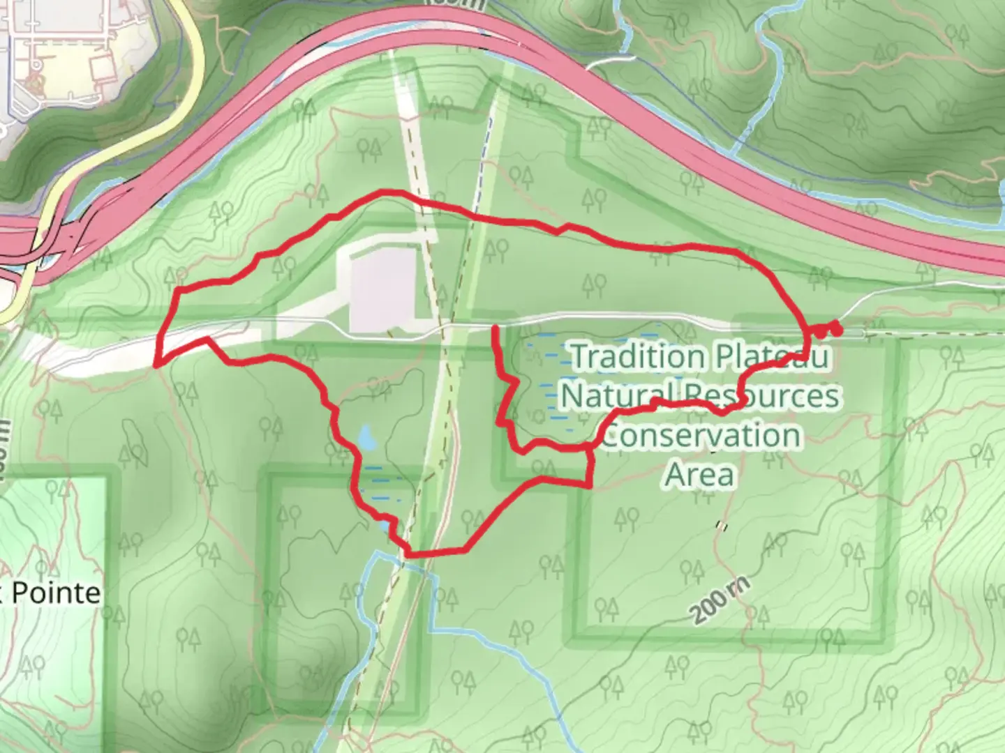 An image depicting the trail Swamp Trail and Wetlands Trail and its surrounding area.