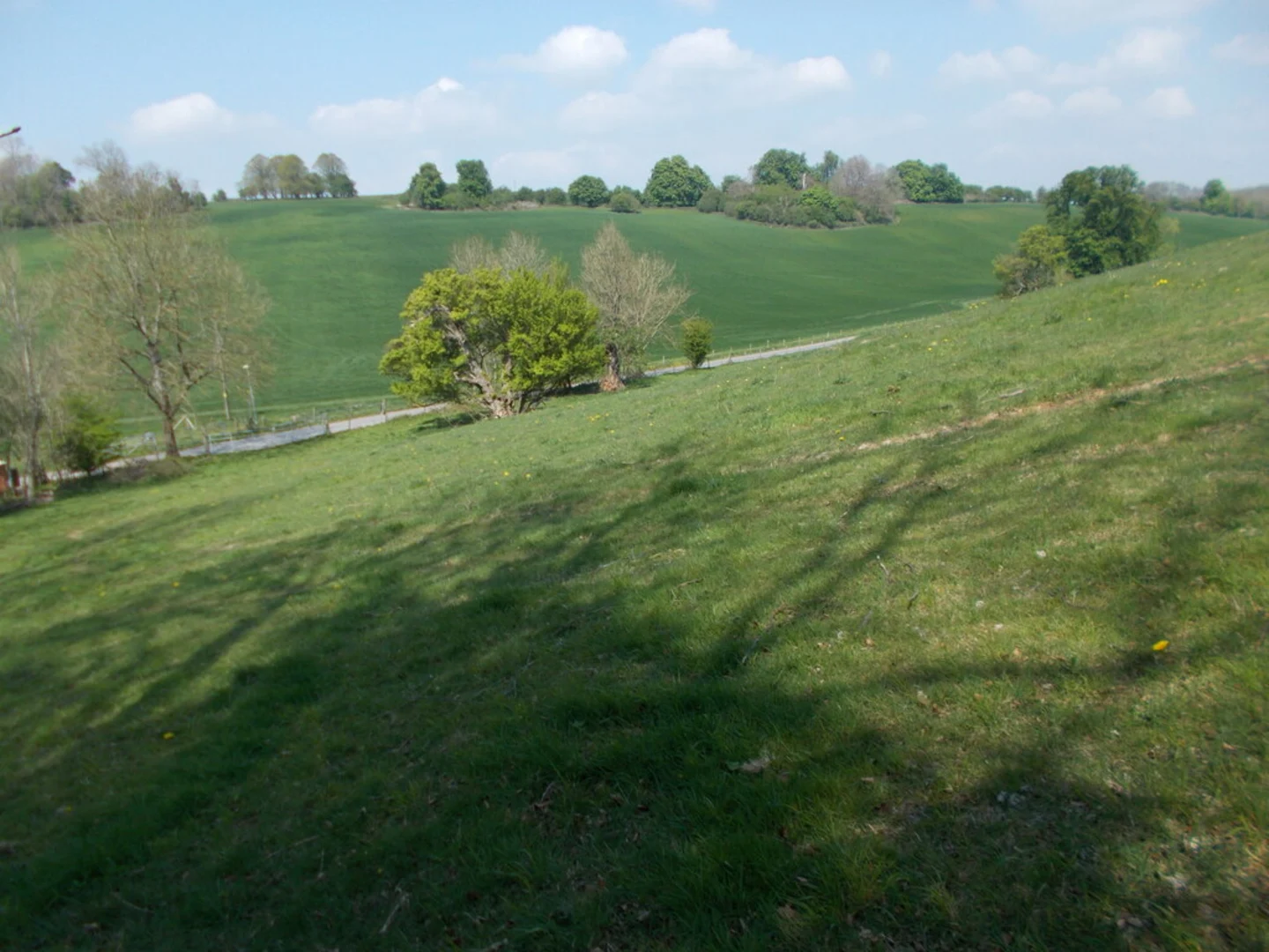 An image depicting the trail Madden Park and Madden Castle Loop and its surrounding area.