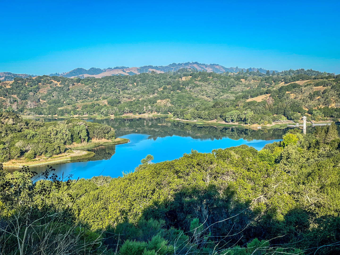 An image depicting the trail Lafayette Reservoir - Lakeside Nature Loop Trail and its surrounding area.