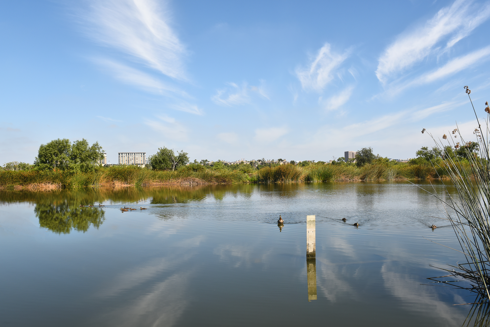 An image depicting the trail San Diego creek and River Walk and its surrounding area.