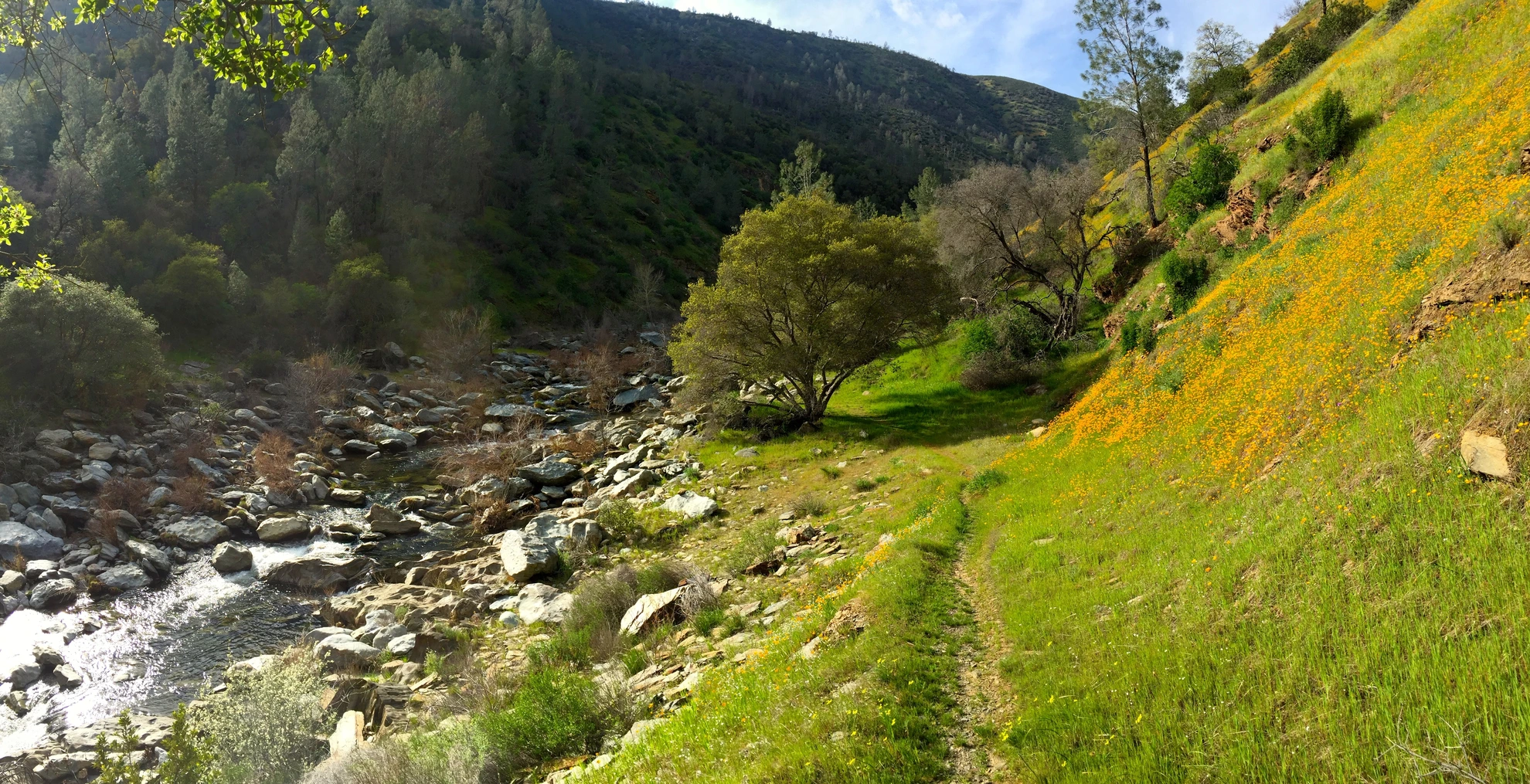 An image depicting the trail Incline Road Trail - North and its surrounding area.