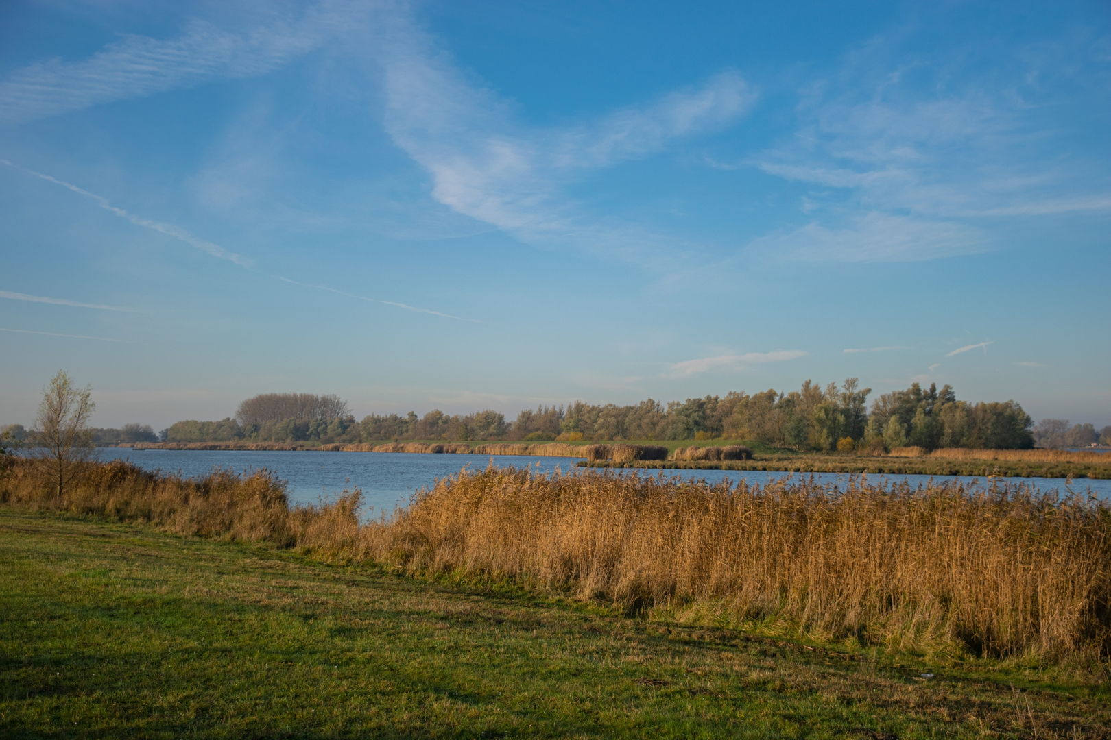 An image depicting the trail Hooge Hof, Deenepolder and Deeneplaat Loop and its surrounding area.