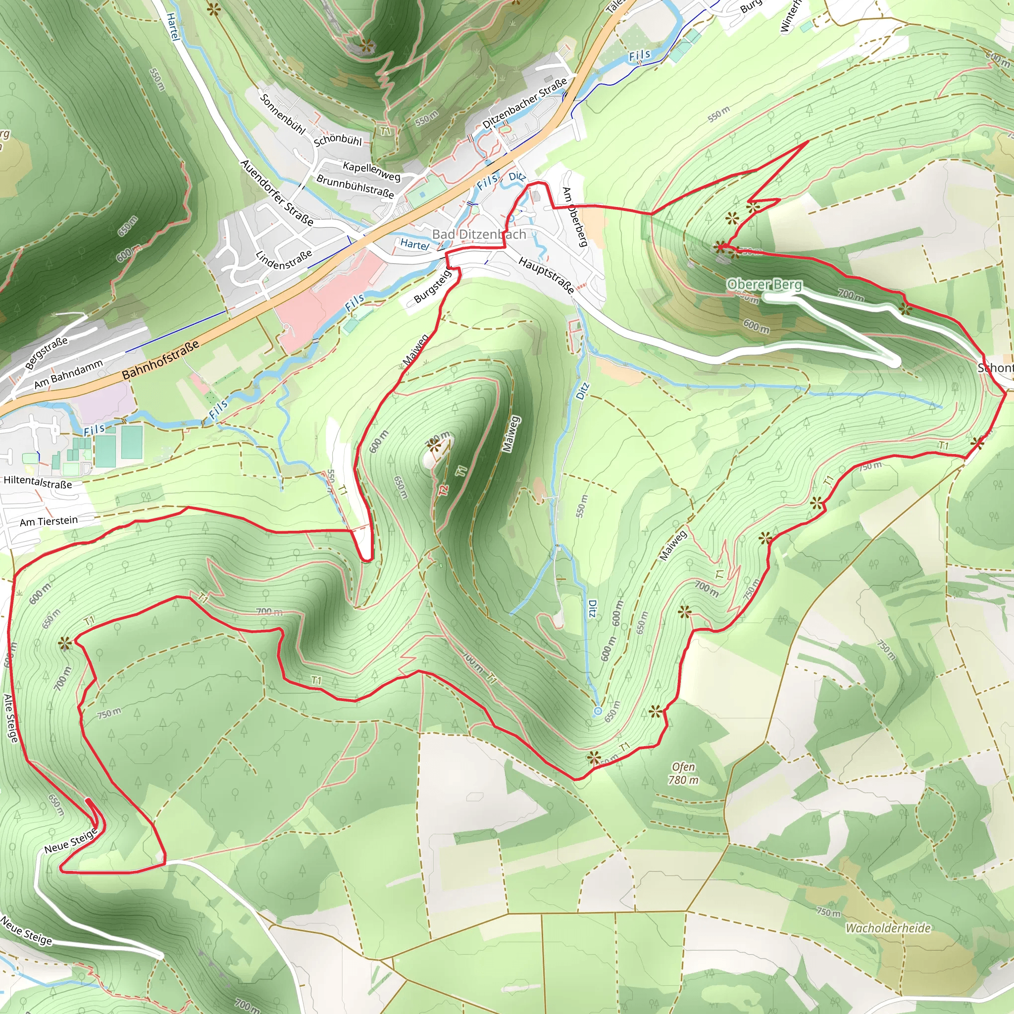 Loewenpfade - Hoehenrunde mobile static map