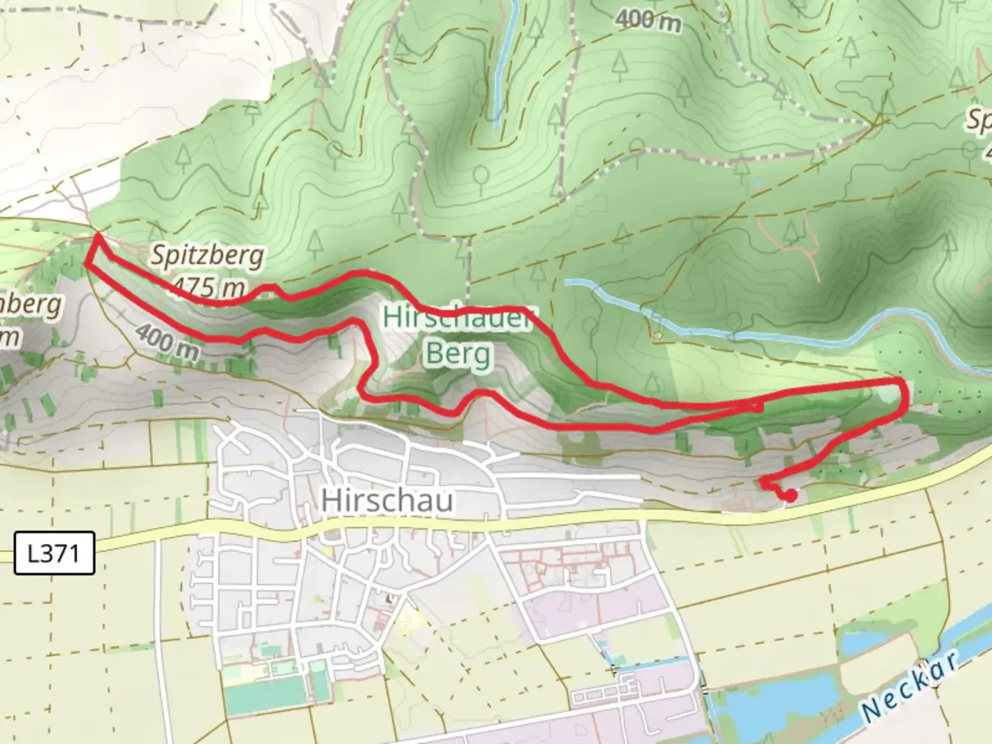 An image depicting the trail Hirschauer Berg Loop and its surrounding area.