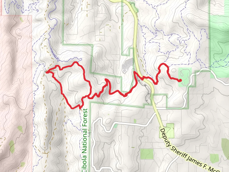 Deadman and cajun Pine Loop
