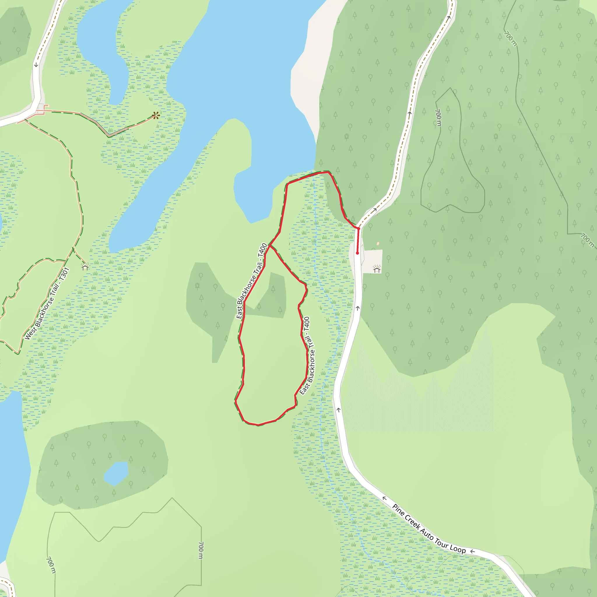 Blackhole Lake Loop Trail mobile static map
