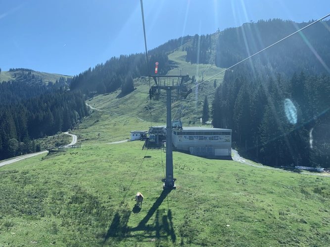 Marktschellenberg to Hallein via Arnoweg