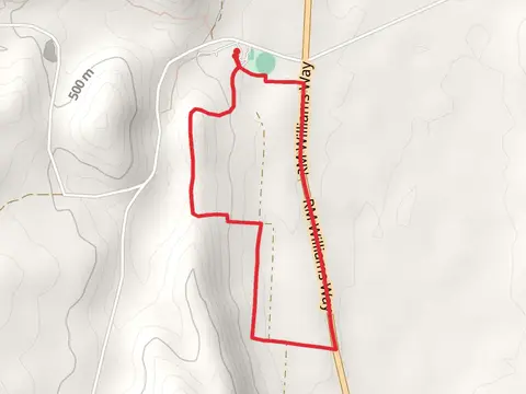 Scenic Trail - Bundaleer Forest Track