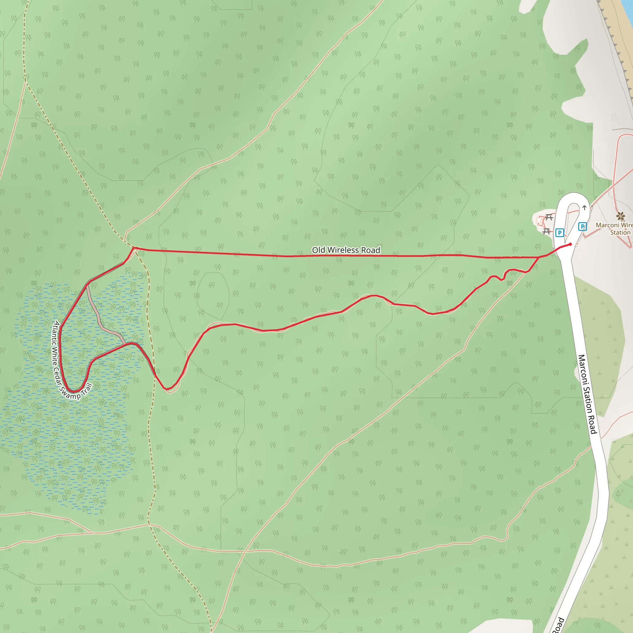 Atlantic White Cedar Swamp Trail Loop mobile static map