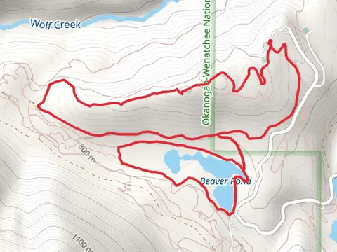 View Ridge, Beaver Pond and Sunnyside Loop