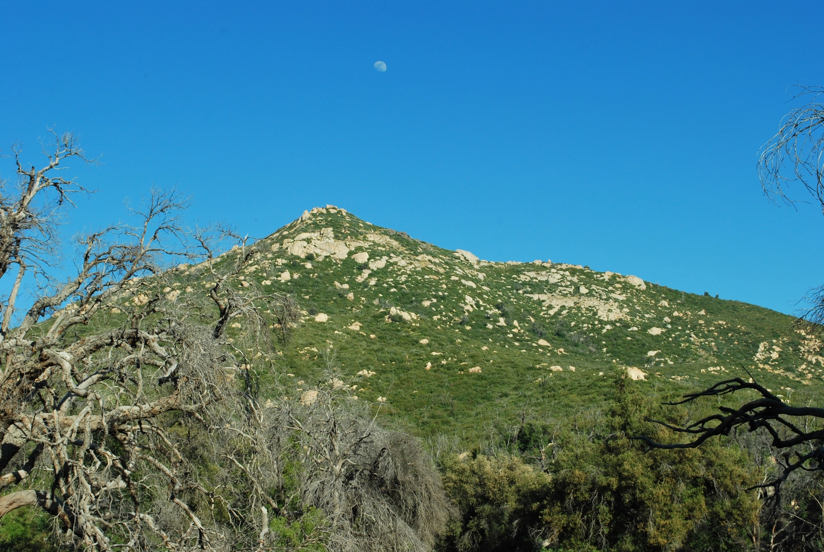 An image depicting the trail Oakzanita Peak via Lower Descanso Creek Trail and Harvey Mooore Loop Trail and its surrounding area.