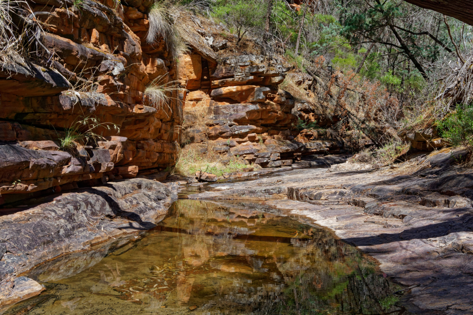 An image depicting the trail Melrose Nature Hike and its surrounding area.