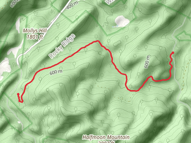 Bucktail Trail