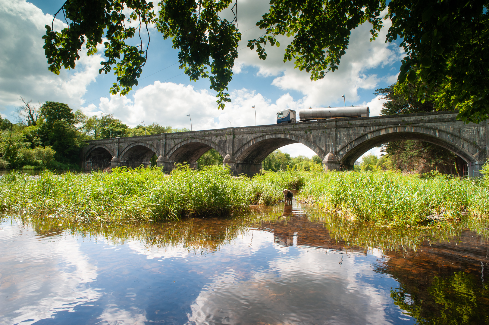 An image depicting the trail Listowel Village Walks - River Walk and its surrounding area.