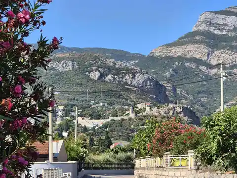 2000 year-old Olive Tree to Old Bar Frortress