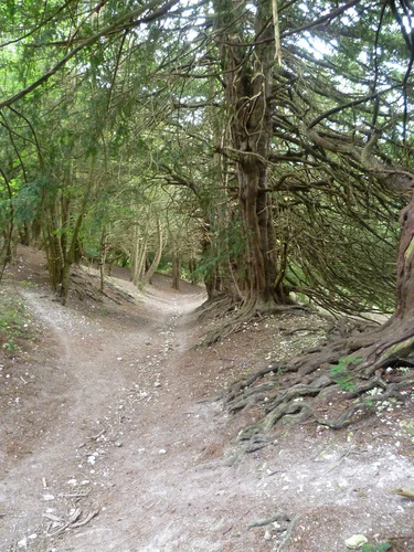 Boarley and Boxley Warren