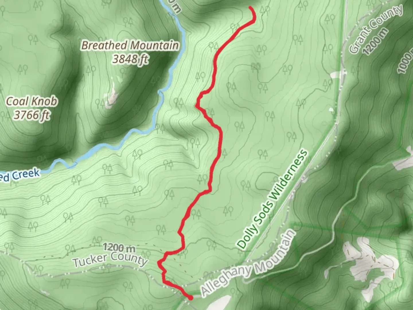 An image depicting the trail Dolly Sods Road and its surrounding area.