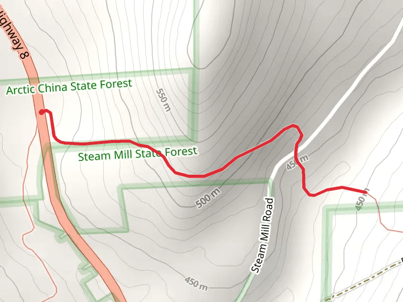 Delaware State Forest via Finger Lakes Trail