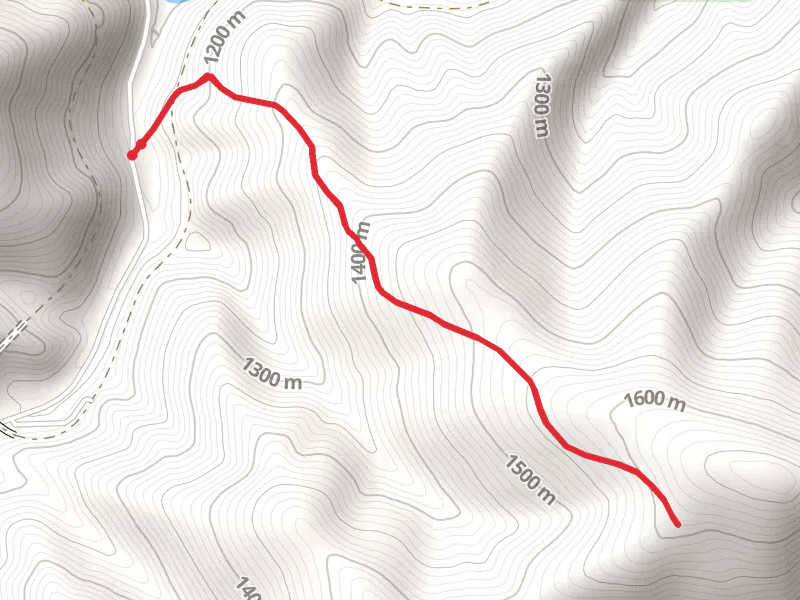 Dominion Creek Trail