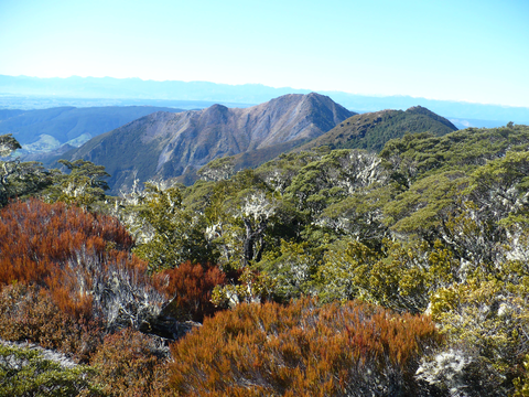Lodestone Summit