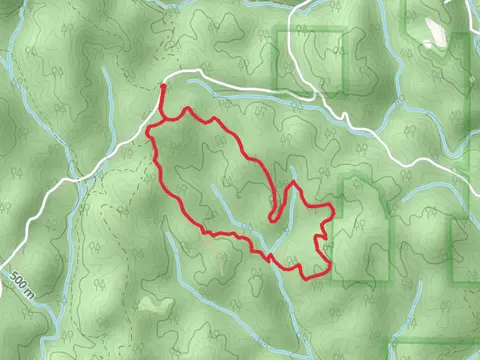 Black Branch Loop Trail