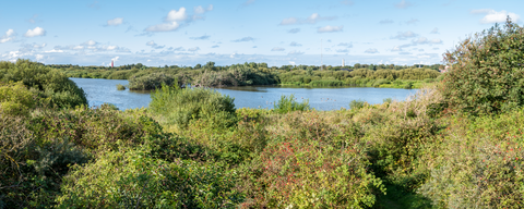 Noorderduinen, Westerplas and Laagte of Rede
