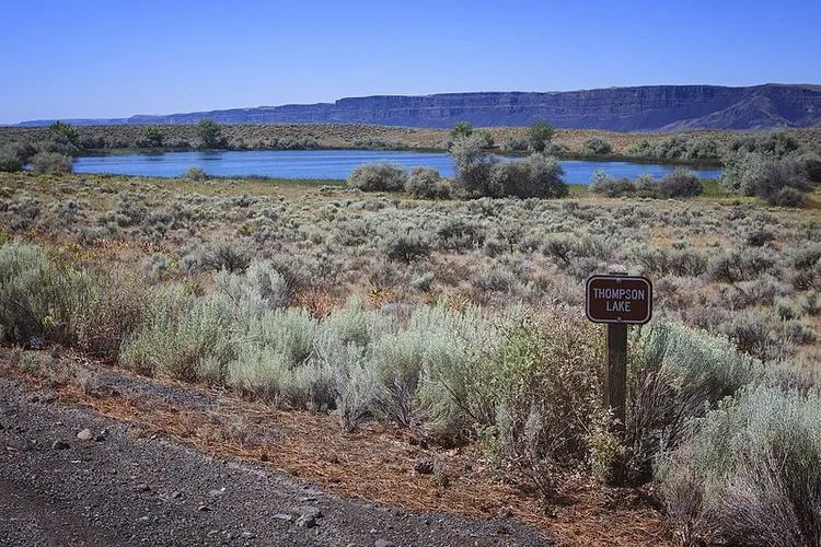 Thompson Lake Trail