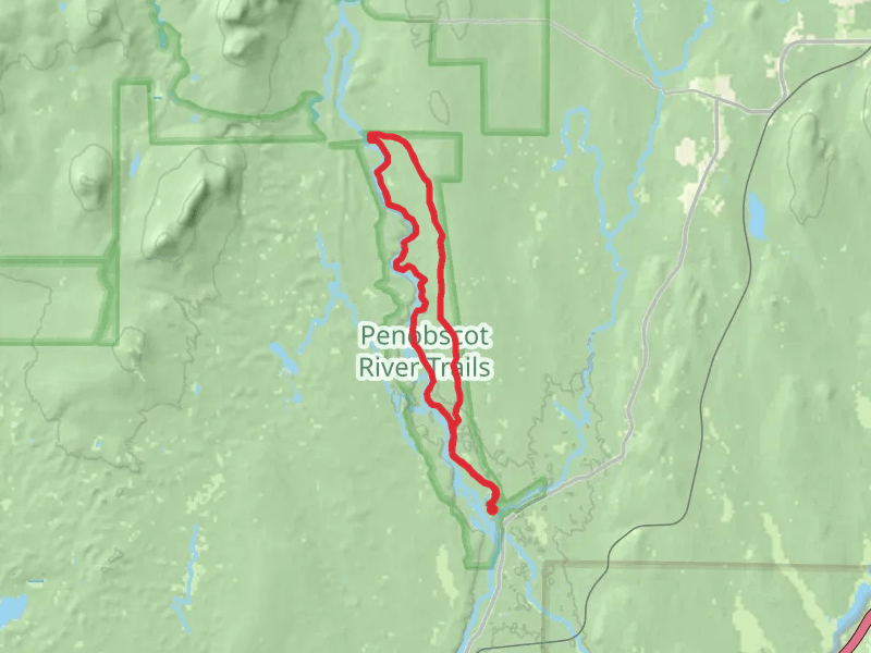East Branch Penobscot River Loop via Silver Maple Trail