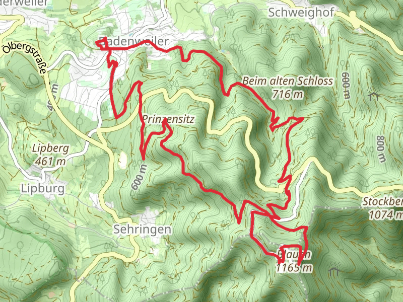 Badenweiler and Blauen Loop via Burg Baden