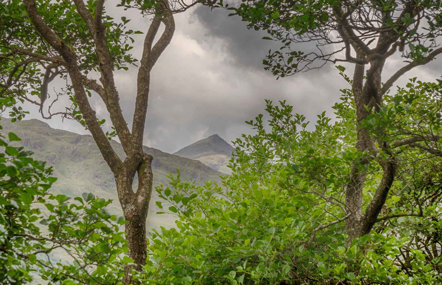 An image depicting the trail Beinn Chuirn, Beinn Dubh, Ben Lui and Ciochan Beinn Laoigh Loop and its surrounding area.