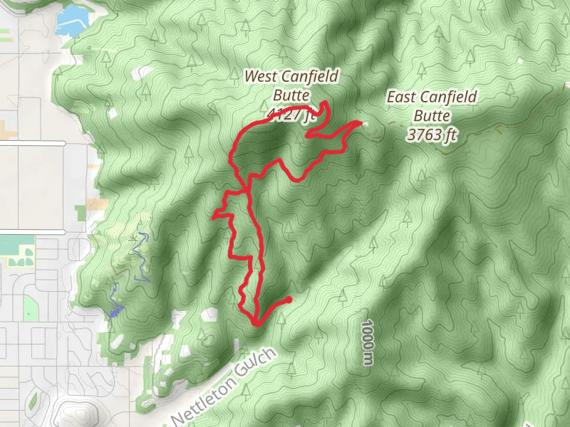 Trail 1 and 3 Loop - West Canfield Butte