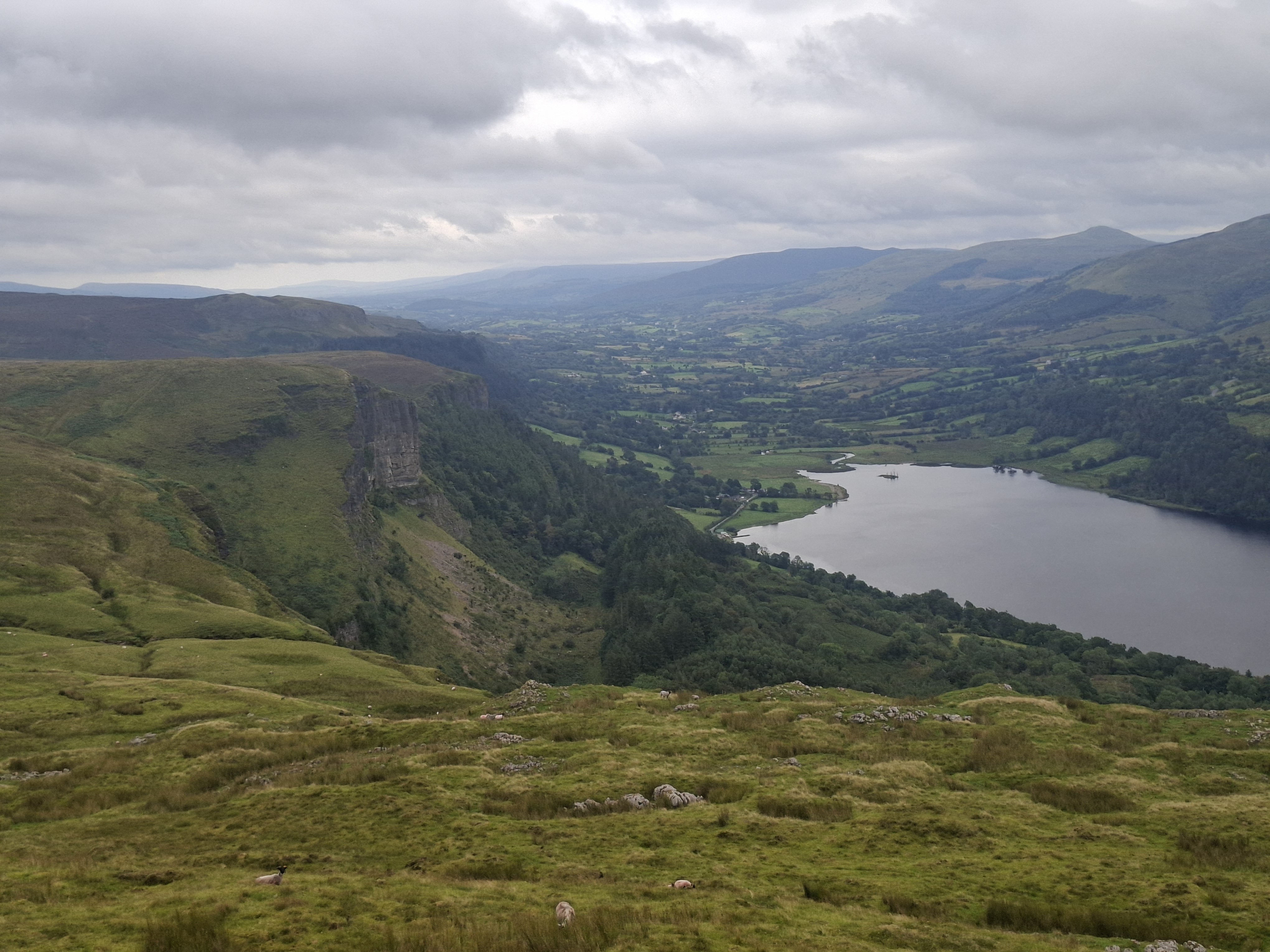 A map preview of the recording Dartry Mountains.