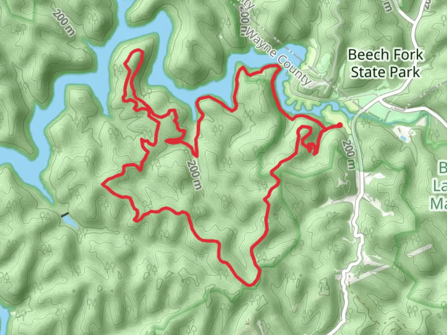 An image depicting the trail Lost, Rubens Branch and Mary Davis Loop Trail and its surrounding area.