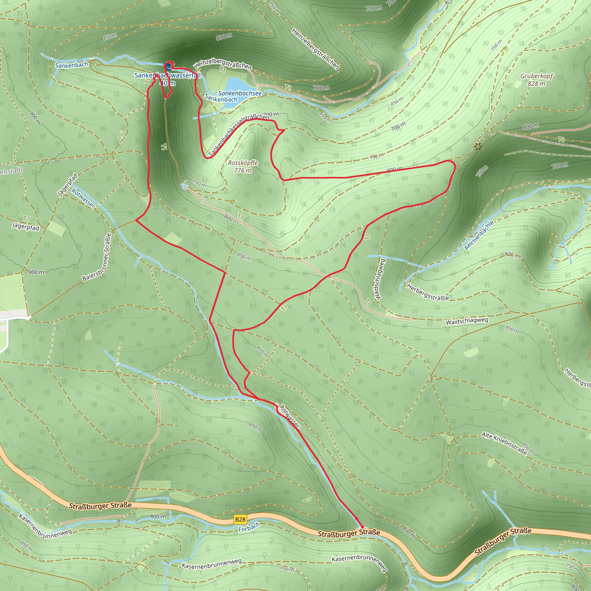 Sankenbachwasserfall and Weihermisstanne Loop mobile static map