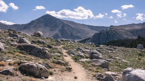 Little Whitney to Big Whitney Meadow Trail and Barigan Stringer Trail